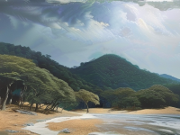 相纸与艺术纸的区别，纸与相纸，材质与用途的