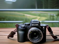 新手相机入门指南，如何选择最适合你的摄影工具，相机入门指南，如何选择最适合你的摄影工具