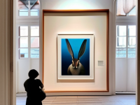 探索视觉艺术的奥秘，不可错过的摄影展览清单，艺术的探索之旅，不可错过的摄影