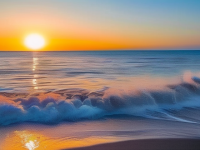 摄影活动报名全攻略，如何高效参与并享受其中，活动报名全攻略，高效参与与享受