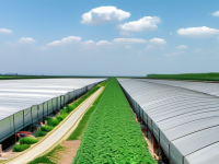 租棚注意事项，确保您的农业投资安全无忧，投资指南，租棚注意事项确保安全无忧